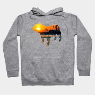 Sunrise Dog Hoodie